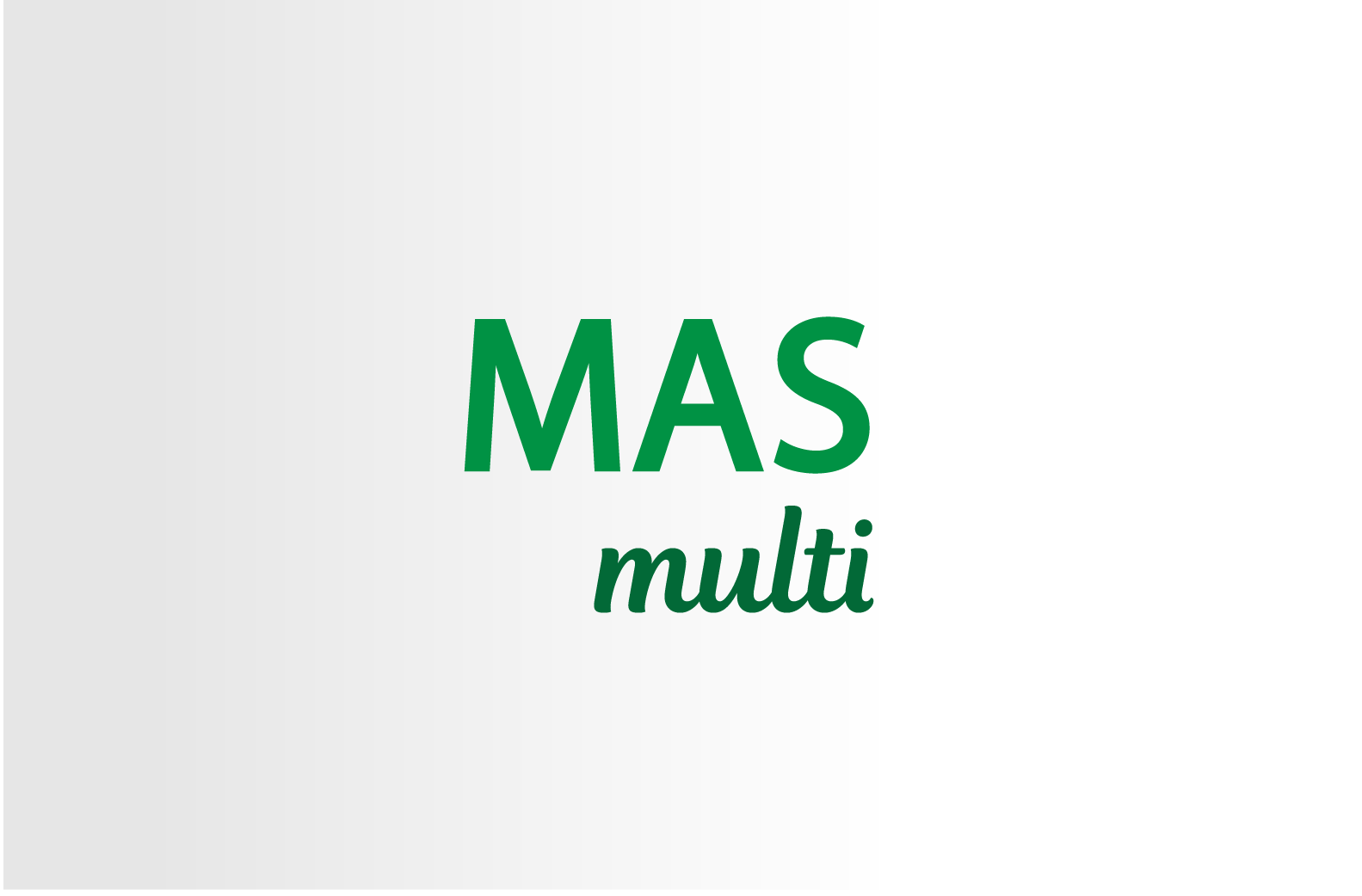 Master Multiservices